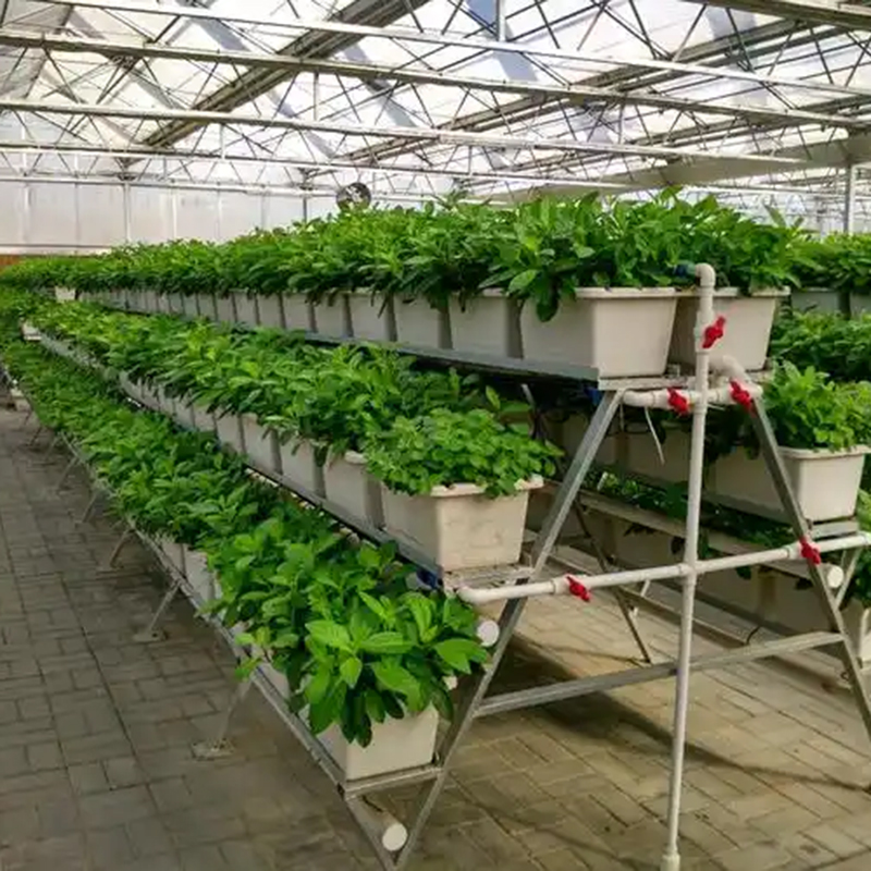 嘉兴市植物工厂无土栽培 - 方案